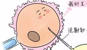 温州二院试管婴儿全流程价格公布，单次不成功成本更高