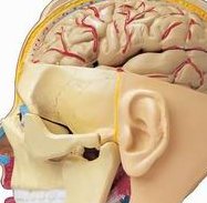 湖南试管婴儿成功率大揭秘，10人中有几人能成功欣运