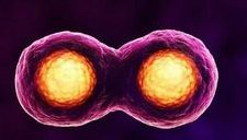 生育品质之选—泰国的试管婴儿医院哪家靠谱？