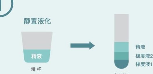 2026年天津优质助孕服务盘点：哪家机构口碑更胜一筹？